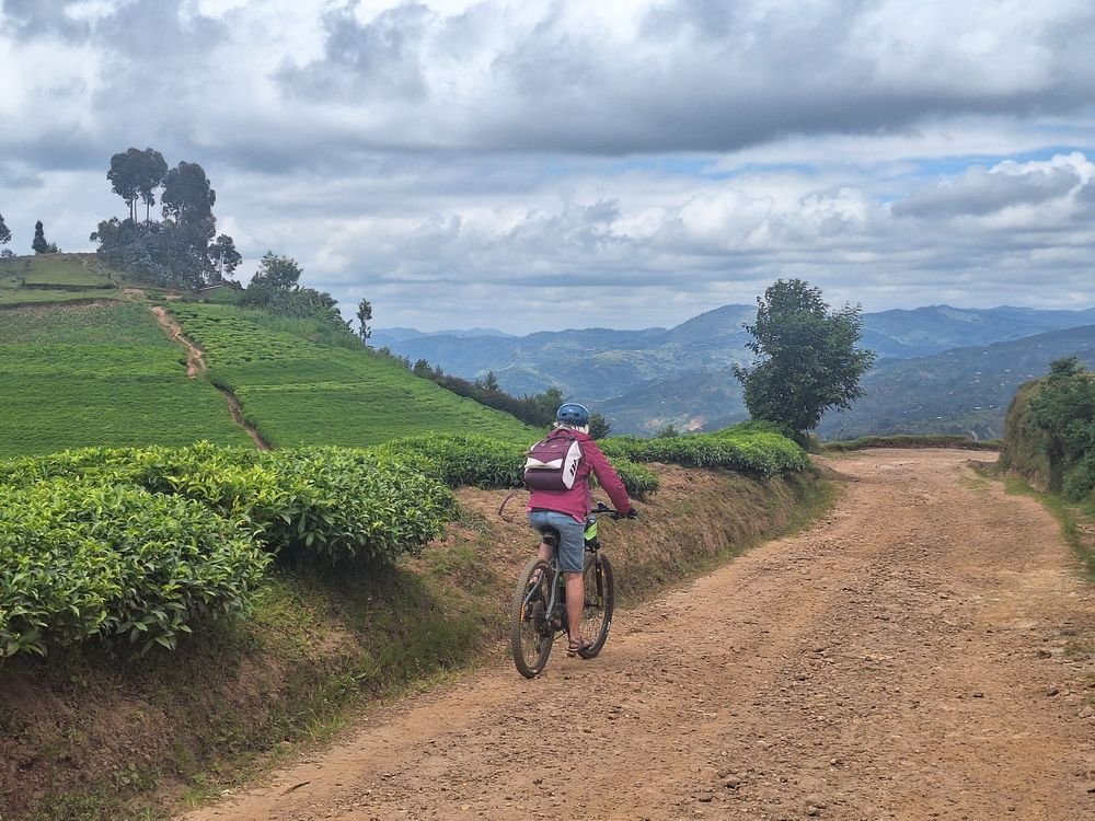 Two-day premium e-bike adventure through tea plantations near Lake Kivu Rwanda