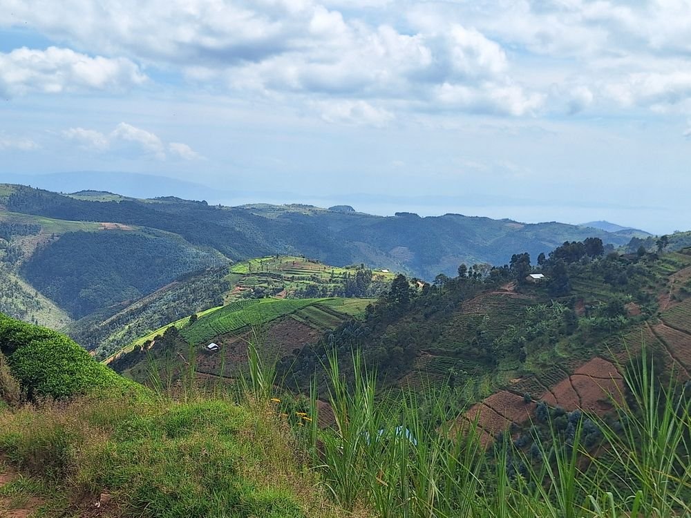 Panoramic hills and tea plantations on a Lake Kivu cycling adventure in Rwanda
